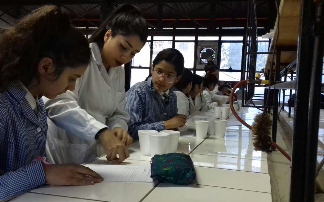«Taller  de Ciencias» en la Universidad de Chile para nuestras estudiantes