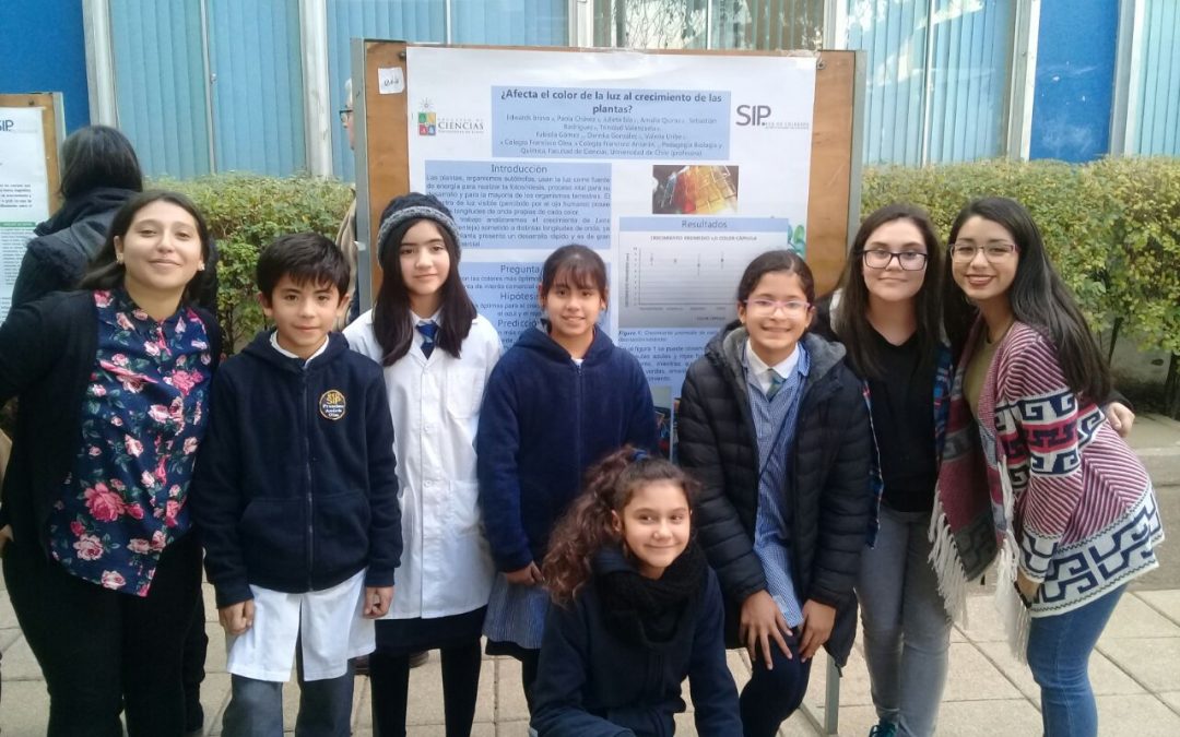 Estudiantes de 6° Básico presentan proyectos de Investigación Científica